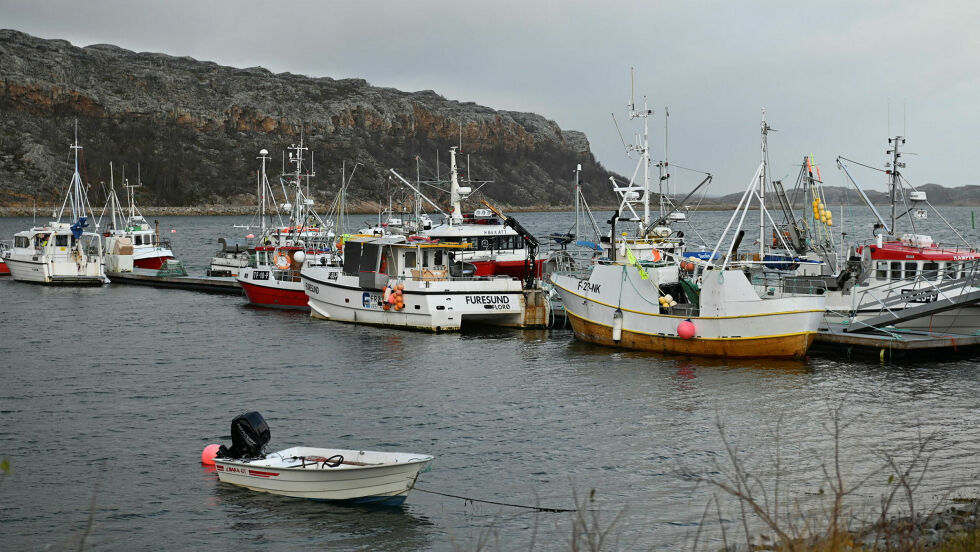 Illustrasjonsfoto fra arkivet: Irmelin Klemetzen