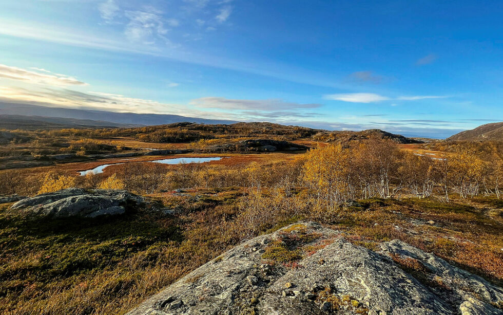 Forbudet Miljødirektoratet foreslår vil gjelde all myr i Norge, uavhengig av torvdybde og høydelag. Dette tilsvarer omtrent 9 prosent av arealet i Norge. Her i Lavttevárri i Porsanger foreligger det planer om gruvedrift.
 Foto: Sara Olaussen Stensvold