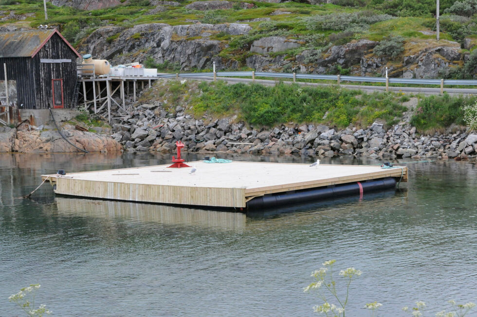 Ei helt ny flytebrygge i Bugøynes, eid av Lyder fisk, er nå klar til å tas i bruk.
 Foto: Hallgeir Henriksen