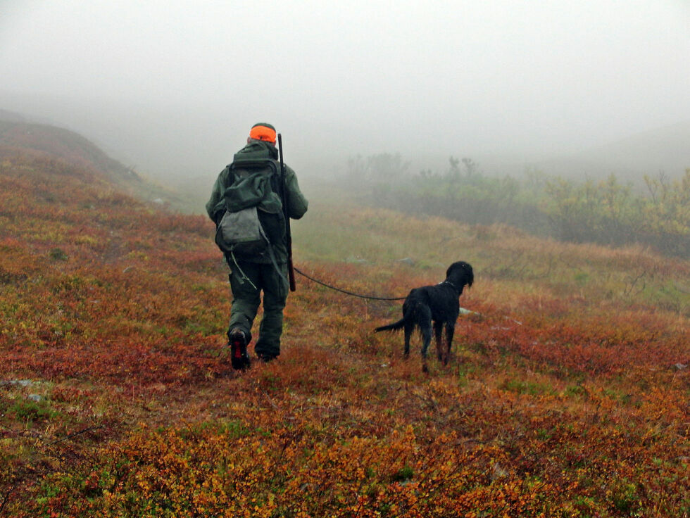 De fire or­ga­ni­sa­sjon­ene har i sitt brev pekt på at hunde­tren­ing ikke på noen måte er vik­tig for sam­funn­et. Det er en hobby knyt­tet til små­vilt­jakt, skriver de i brevet som er sendt ut til landets statsforvaltere.
 Foto: Ságat/Arkiv