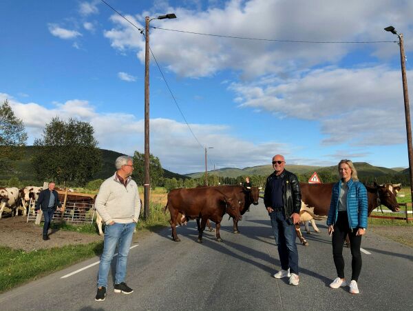 – Bygdene i Tana blir litt glemt og forlatt