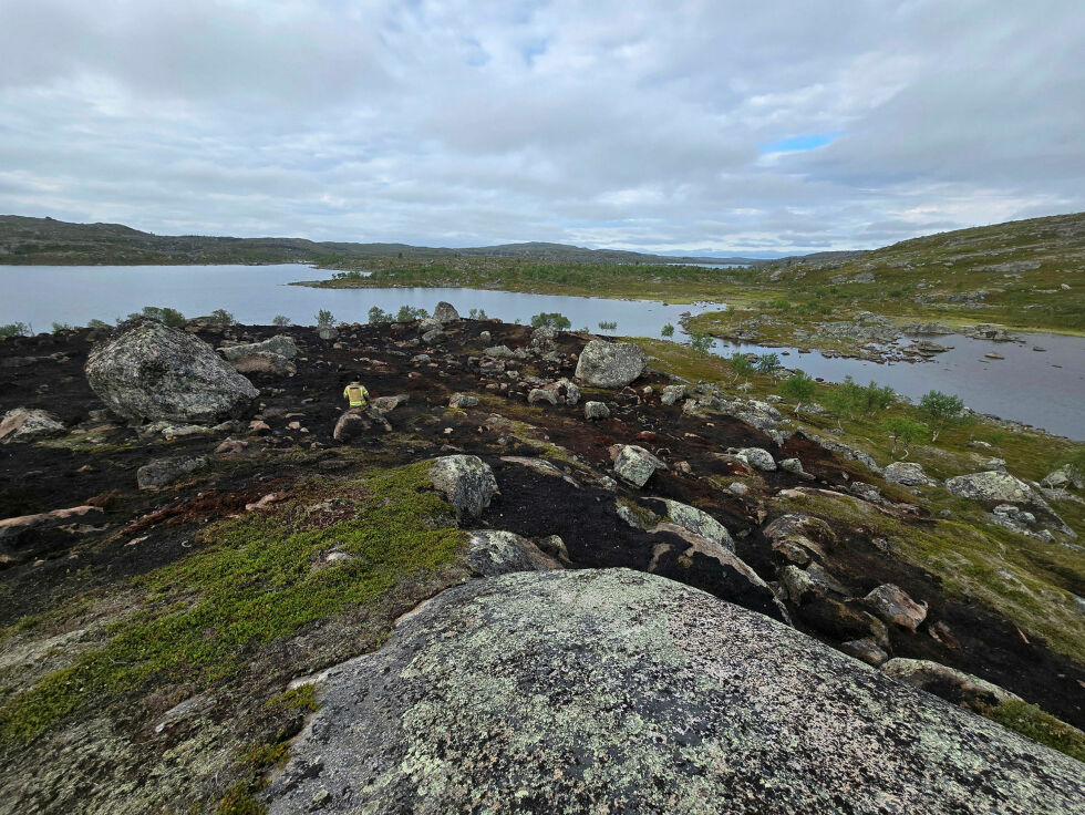 Det er prekært tørt i marka og heller ikke meldt nedbør i nærmeste fremtid.
 Foto: Tormod Granaas/Sør-Varanger brannvesen