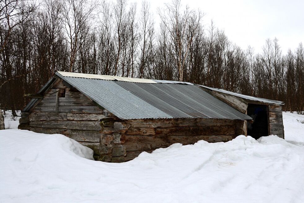 Fjøset som står i Agnar Johansens eie er satt opp i 1772. Porsanger museum ønsker å ta vare på bygningen sammen med Johansen. Men til det trengs det midler.
 Foto: Kristin Marie Ericsson