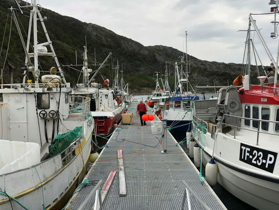 Smith-utvalget konkluderte med at både samer og andre innbyggere i Finnmark har en legitim rett til å fiske i havet utenfor fylket, basert på historisk bruk og folkerettens prinsipper for urfolk og minoriteter.
 Foto: Stein Torger Svala