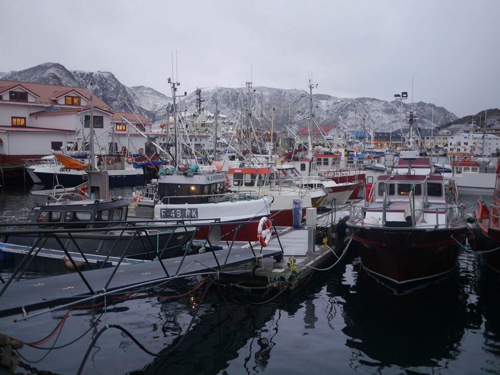 Rødt arbeider for at mer av verdiene fra nordnorsk havbruk blir ilandført i nordnorske havner, forklarer Finnmarks-leder Marius Eriksen Aikio. Foto fra indre havn i Honningsvåg.
 Foto: Geir Johansen