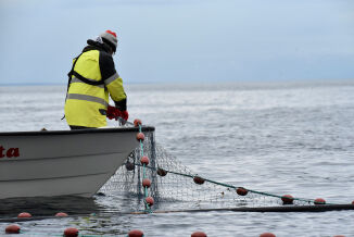 Vil forby sjølaksefisket i Finnmark