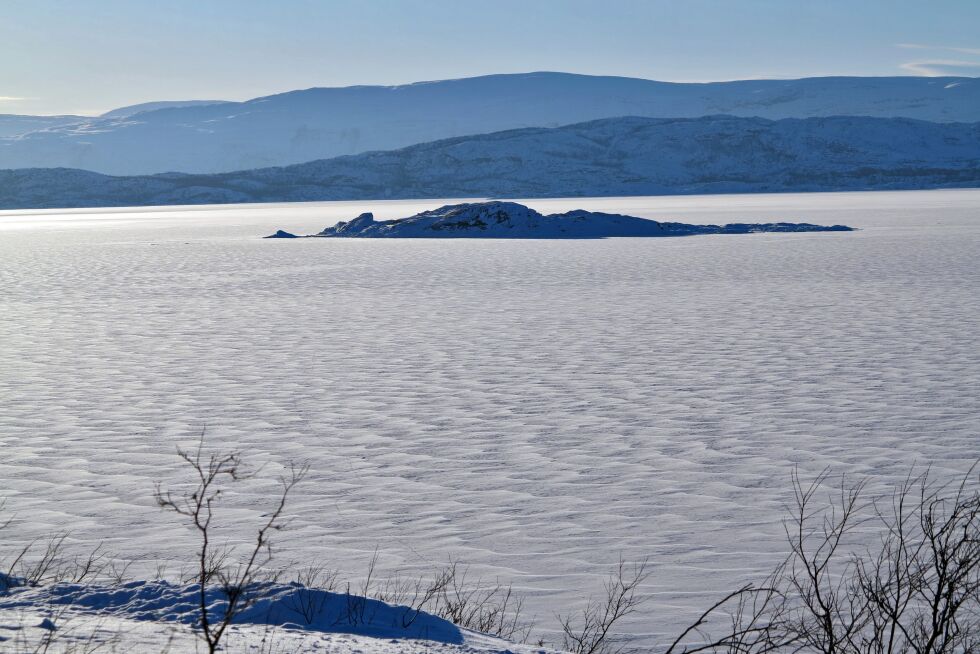 Den lille øya Ánnebeazá, som enkelte kaller for «Musøya», ligger et stykke ut i Østerbotn, og ser for tiden ut som den ligger på en slette.
 Foto: Oddgeir Johansen