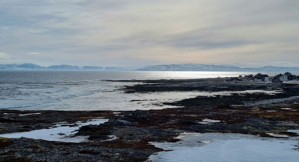 Det er i dette området like ved Salttjern øst for Vadsø Lerøy Aurora planlegger å etablere et oppdrettsanlegg for laks.
 Foto: Torbjørn Ittelin