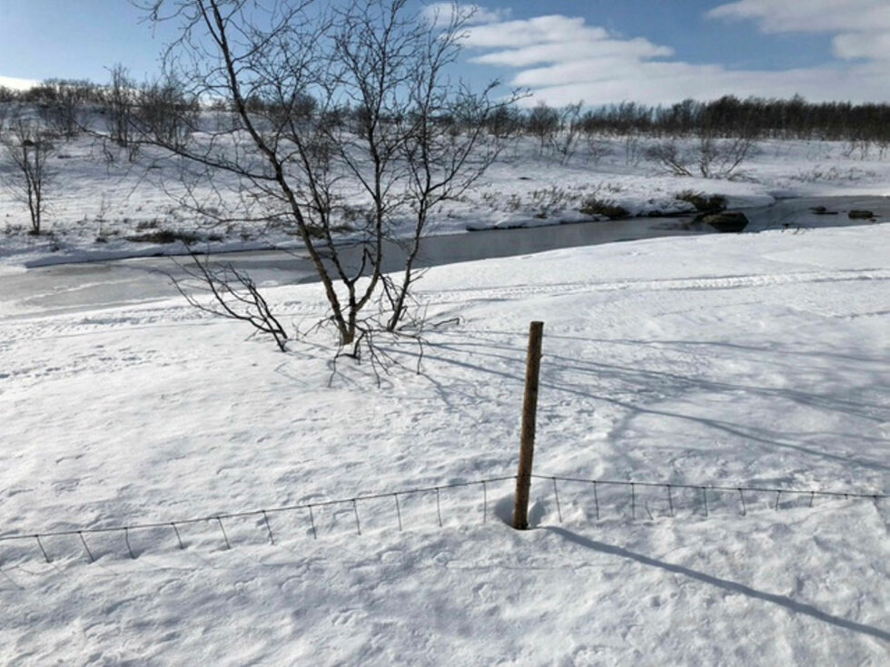 Det lengste gjerdet er bygget langs Stabburselva innenfor nasjonalparkens grenser.
 Foto: Privat