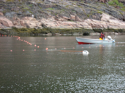 De siste sjølaksefiskerne skal nå på land, men fortsatt skal det fiskes i elvene