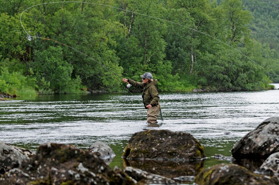 Lakselva er blitt en svært populær elv å fiske i de senere årene.
 Foto: Marius Thorsen (arkiv)