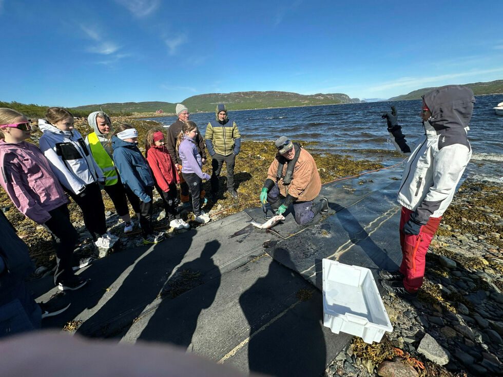 Her viser Trasti elevene hvordan man sløyer laks.
 Foto: Hallgeir Henriksen