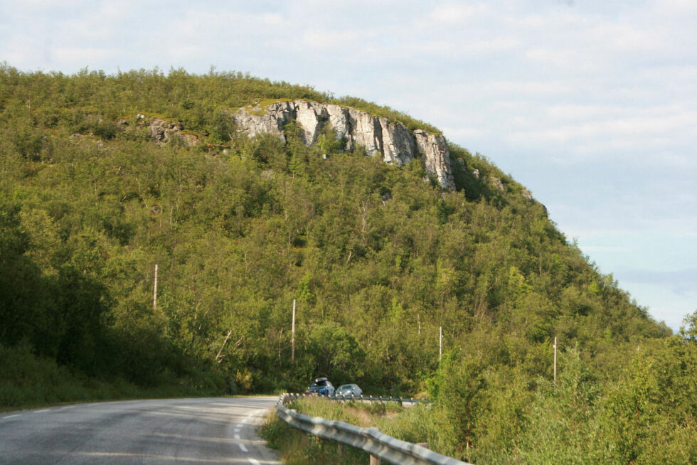 Grunnet tett skog ser man ikke hva som skjuler seg nedenfor berget.
 Foto: Anthon Sivertsen