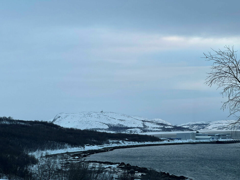 Sør-Varanger kommune har lagt ut rundt 70 dekar næringstomt nord for lakseslakteriet på Jakobsnes.
 Foto: Hallgeir Henriksen