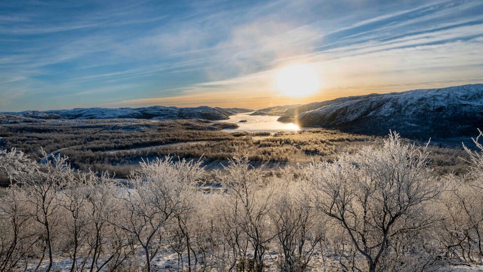 I 3. kvartal var det Hammerfest som økte mest, mens Sør Varanger mistet flest innbyggere. Bildet er tatt på Høybuktmoen i Sør-Varanger.
 Foto: Cecilie Bergan Stuedal