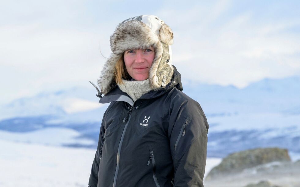 Cecilie Bergan Stuedal på Dovre for å fotografere moskus i snø.
 Foto: Bjørn H. Stuedal