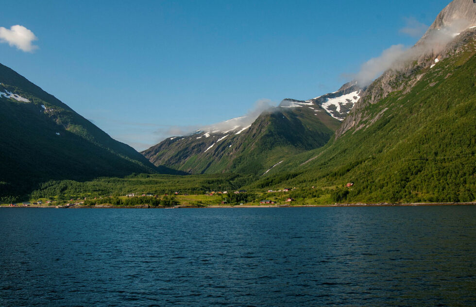 Musken i Hellmofjorden.
 Foto: Sametinget