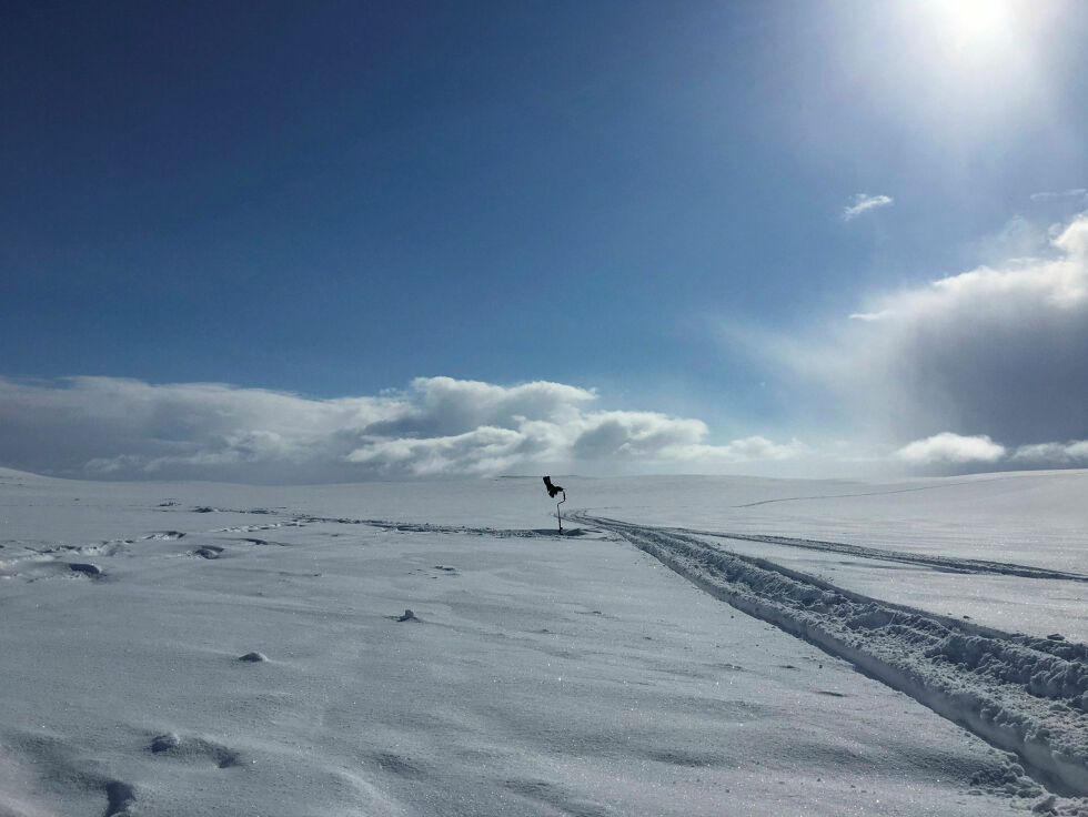 Vestre Finnmark tingrett bemerker at nødvendig tjenestekjøring i reindrifta ikke blir ulovlig på grunn av at det også ble fisket på isen på samme tur. Illustrasjonsfoto.
 Foto: Lisbeth Myrvang