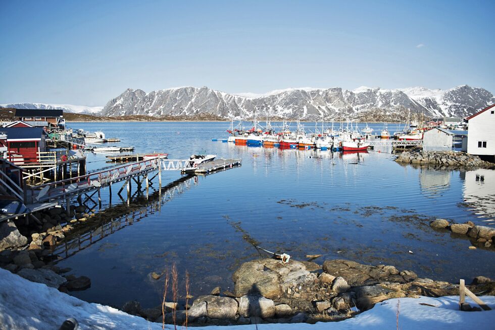 Ill.foto fra Gjesvær i Nordkapp kommune
 Foto: Frøydis Falch Urbye