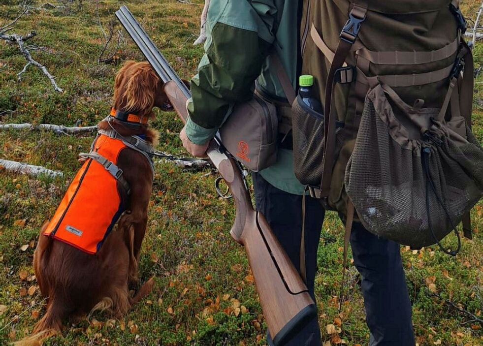 Automatisk saksbehandling av våpensøknader skal bidra til effektiv våpenforvaltning og bedre tjenester til publikum.
Illustrasjonsfoto
 Foto: Privat