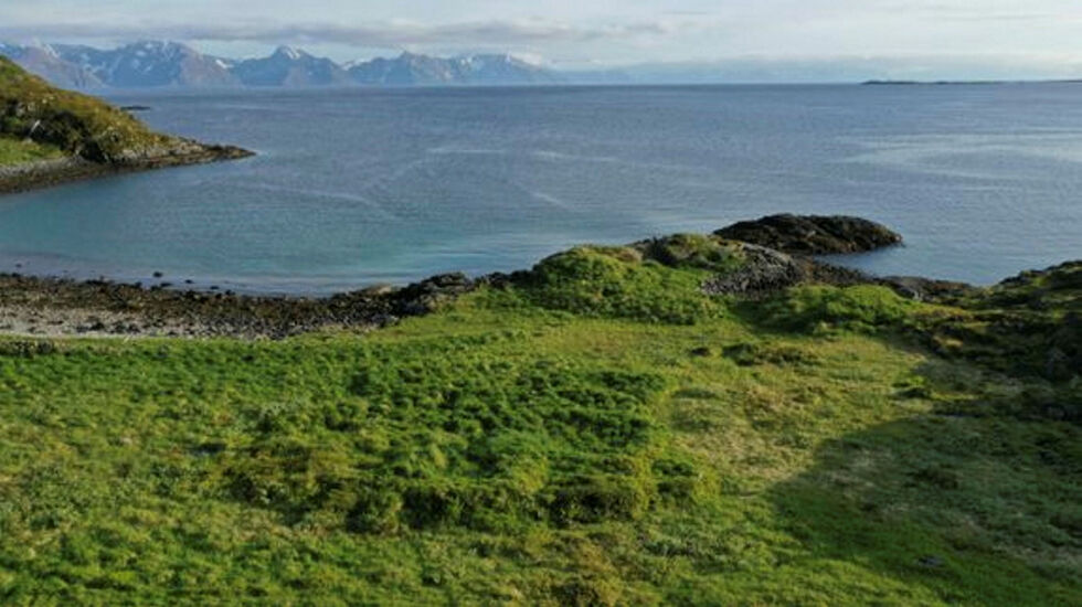 Mangeromshusene tilkom i en periode av mellomalderen da de nordligste kystområdene for alvor kom i søkelyset for ulike økonomiske og politiske interesser utenfra.
 Foto: Torbjørn Preus Schou/Uit