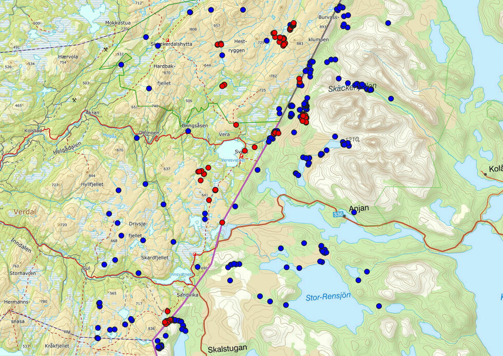 Kart som viser registreringer i prosjektet (røde) og alle samiske registreringer (blå) i området. Den daterte boplassen er klyngen med røde prikker sør for myra og til venstre.
 Foto: ukjent