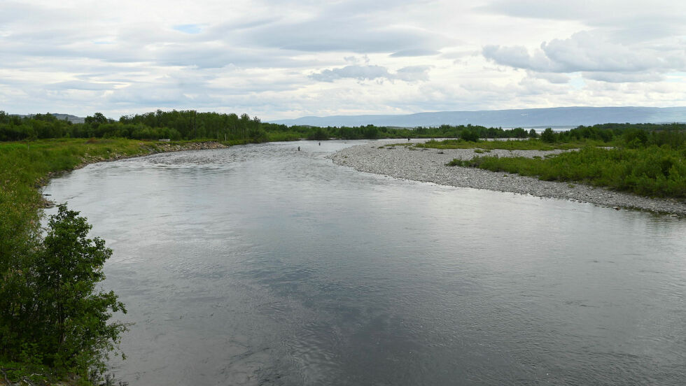 Laksefiskere i Stabburselva i Porsanger har tatt opp brukbart med laks så langt i år.
 Foto: Irmelin Klemetzen