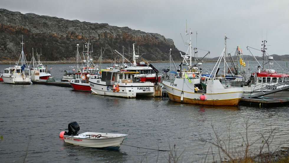 Fylkesstyret i KS Finnmark er bekymret for konsekvensene av kvotereguleringene.
 Foto: Irmelin Klemetzen