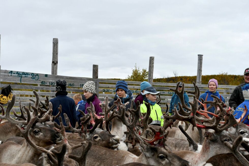 Sivilombudet vil ha svar på flere spørsmål om statsforvalterens rutiner for å behandle merkesaker.
 Foto: Irene Andersen