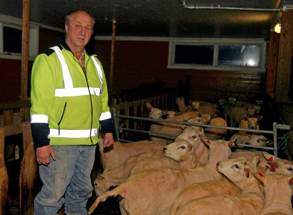 Leder Øystein Kristiansen i Klubbvik beitelag
 Foto: Torbjørn Ittelin (arkiv)