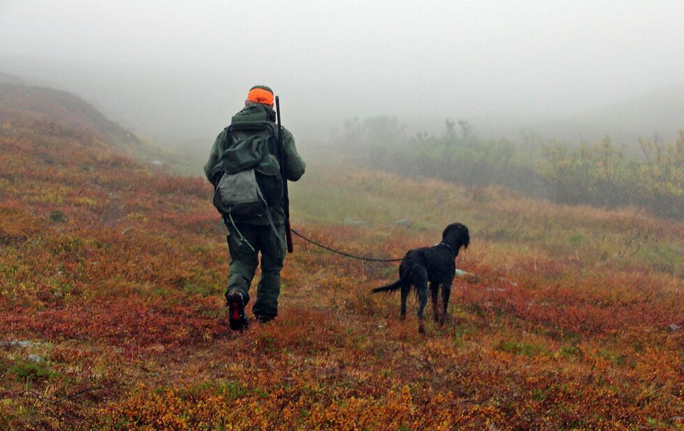 Det har i år vært stor pågang på jaktkort i enkelt jaktområder i Finnmark – spesielt i Kautokeino. Flere har reagert på at tilreisende jegere «tar plassen fra» lokale jegere.
 Foto: Ságat/Arkiv