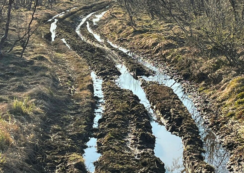 Thorbjørn Bjørkli tok blant annet dette bildet som viser hvilke spor kjøringen har medført. 
– Det er snakk om et par hundre meter, og så unødvendig, sier han om stien som nå er rasert.
 Foto: Thorbjørn Bjørkli
