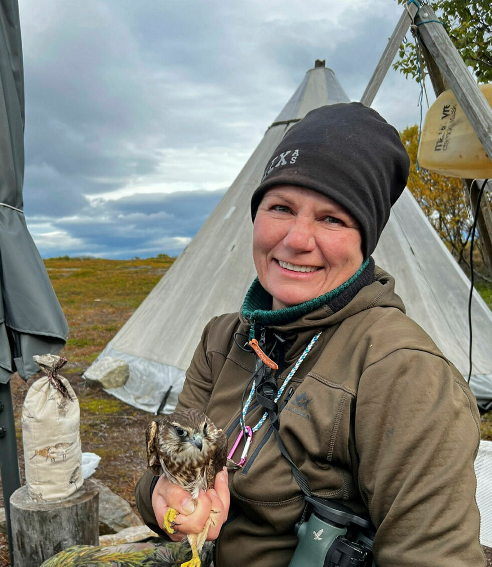 Randi Blix Sivertsen, leder i BirdLife Norge avdeling Finnmark, holder en dvergfalk på Valdak høsten 2022.
 Foto: Privat