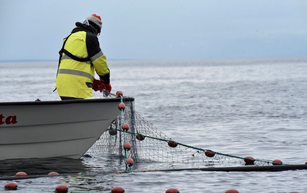 Høringen fra FeFo er sendt ut til omslag 300 mottakere, deriblant sjølaksefiskere i Finnmark. Illustrasjonsfoto
 Foto: Irene Andersen