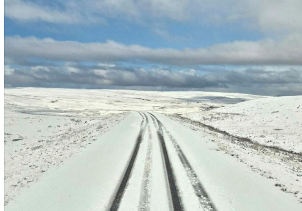 Ifjordfjellet var dekket av et fint lag med sne søndag morgen.
 Foto: Magne Persen