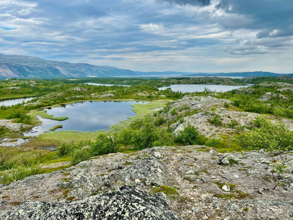 Det grønne skiftet brukes ofte som begrunnelse til å hente mineraler. Bildet viser litt av området der Kingsrose leter etter mineraler med tanke på å starte gruve.
 Foto: Marit Holm Pettersen