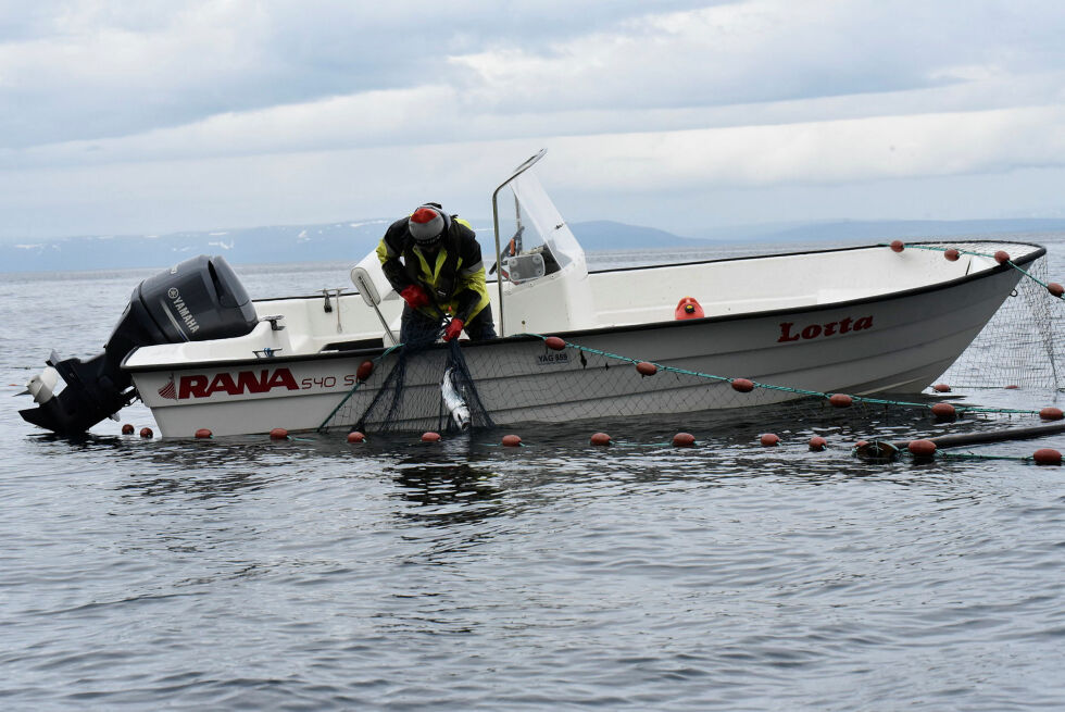 Både fiskerforeninger og sjølaksefiskerne venter på hvilke regler som skal gjelde under sjølaksefisket til sommeren.
(Arkivfoto: Irene Andersen)