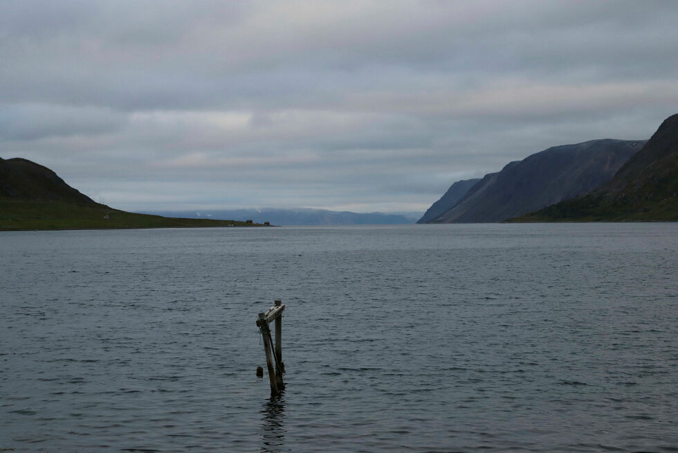 – Ideen kom vel av min egen oppvekst i Finnmark og en følelse av å ha veldig lite fysisk historie i motsetning til andre steder i landet. Hvordan har egentlig brenninga påvirket vår identitet som finnmarkinger i ettertid? Jeg hadde aldri hørt det spørsmålet før så derfor ville jeg undersøke det selv, sier Elias Ravn Iversen.
 Foto: Privat