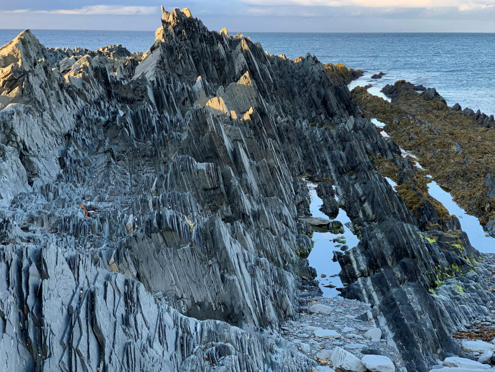 De spisse flakene består av en dolomitt som står imot bølgenes kraft, mens de løse skifrene imellom blir skylt ut i havet og danner de intime små buktene. Her fins spor etter noen av de eldste organismene på kloden. Det levde kolonier av bakterier i et grunt hav for om lag 800 millioner år siden.
 Foto: Jorunn Eikjok