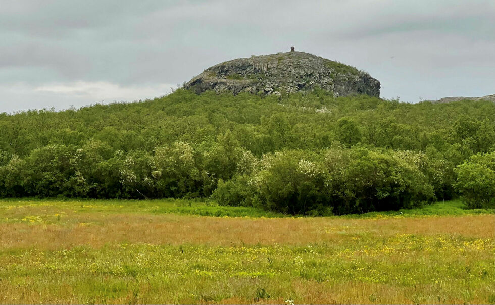 Fjellet Láttečohkka – et historierikt fjell.
 Foto: Privat